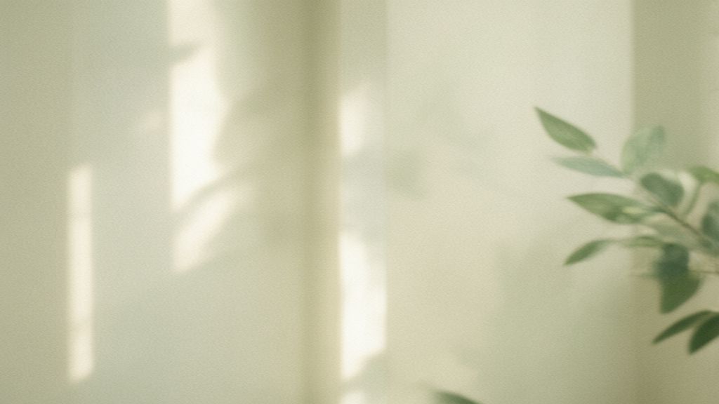 Serene morning light streaming through an open window with soft shadows